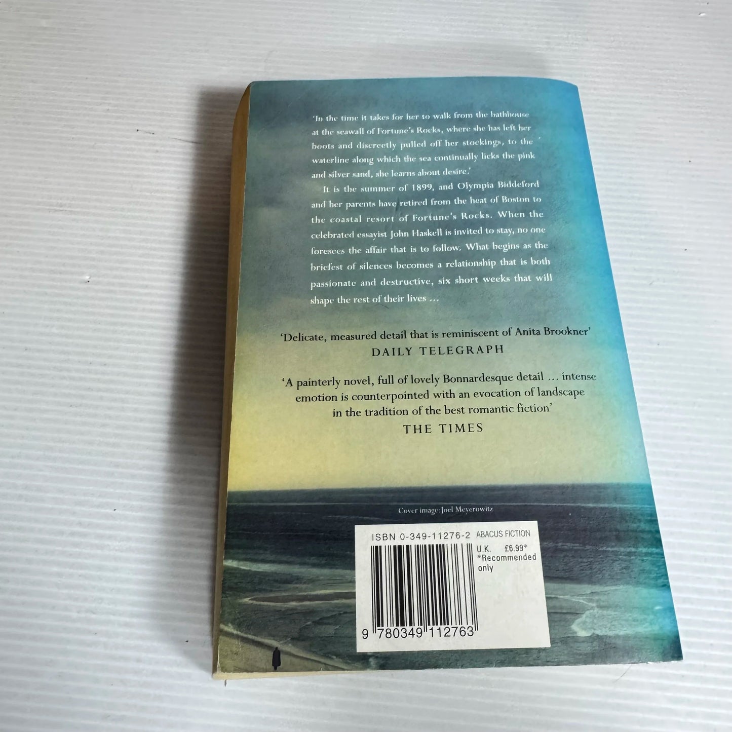 Fortune's Rock - Anita Shreve