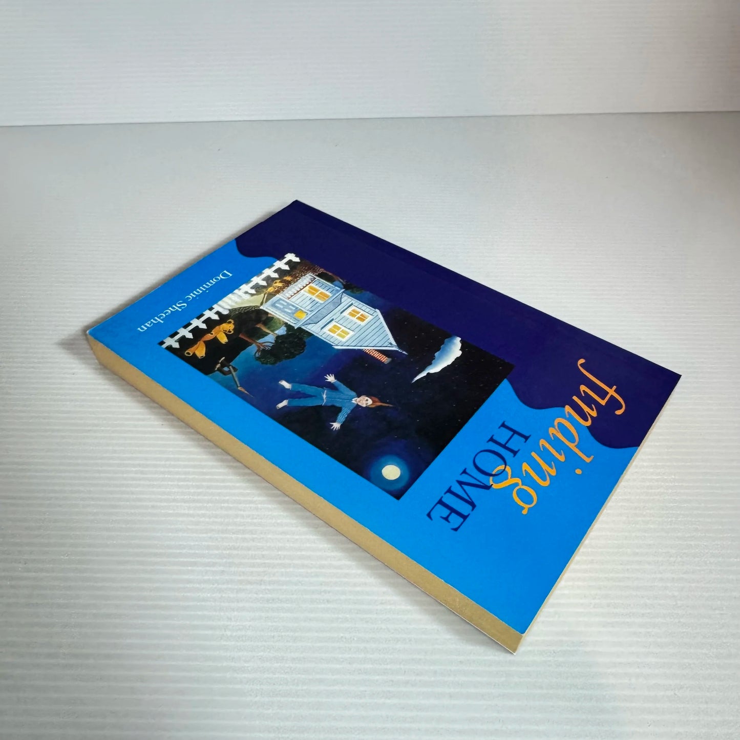 Finding Home - Dominic Sheehan