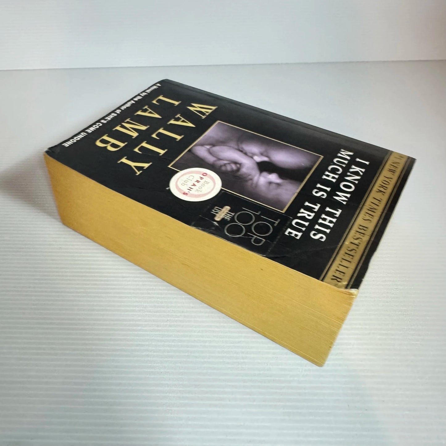 I Know This Much Is True - Wally Lamb