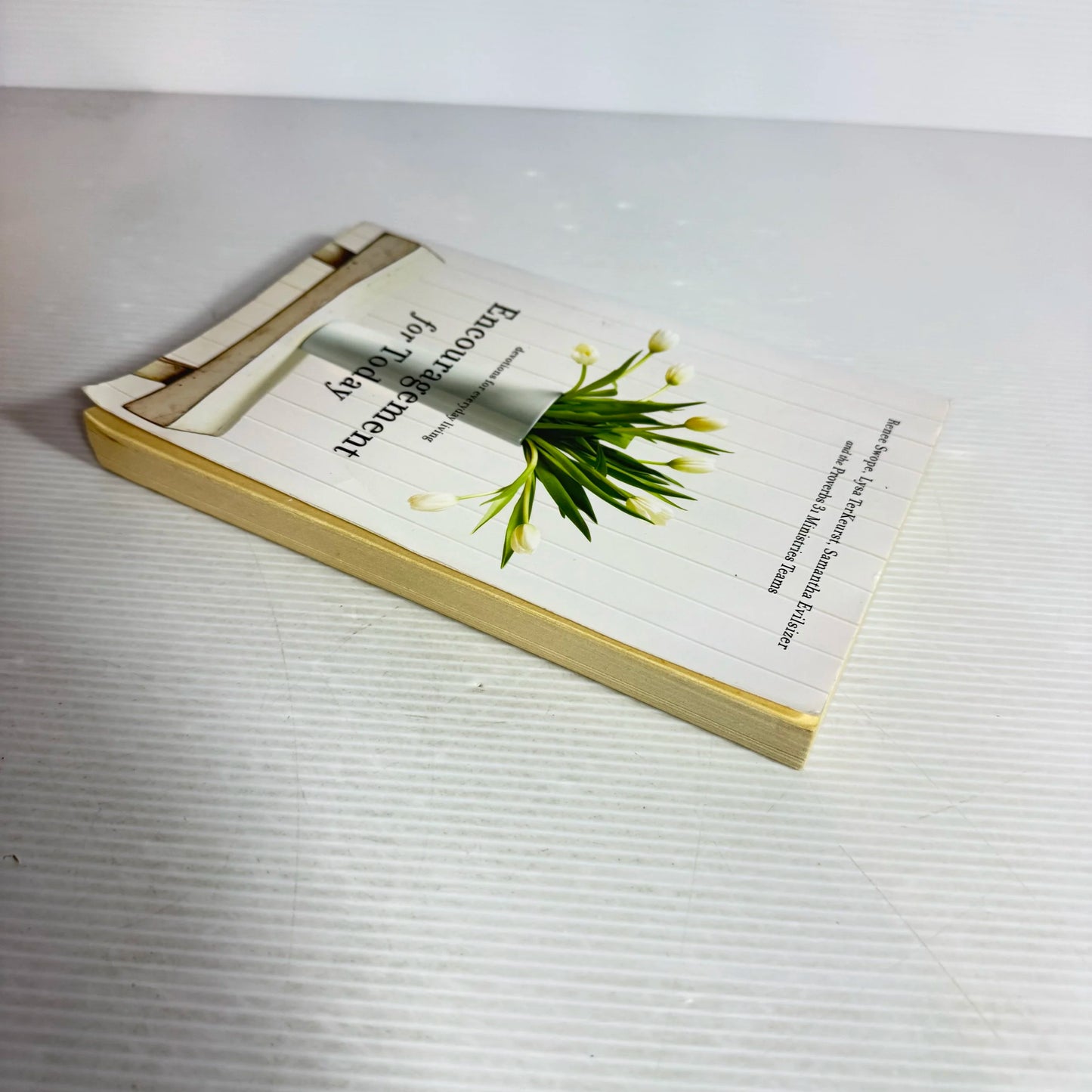 Encouragement for Today : Devotions for Everyday Living - Renee Swope, Lysa TerKeurst, Samantha Evilsizer