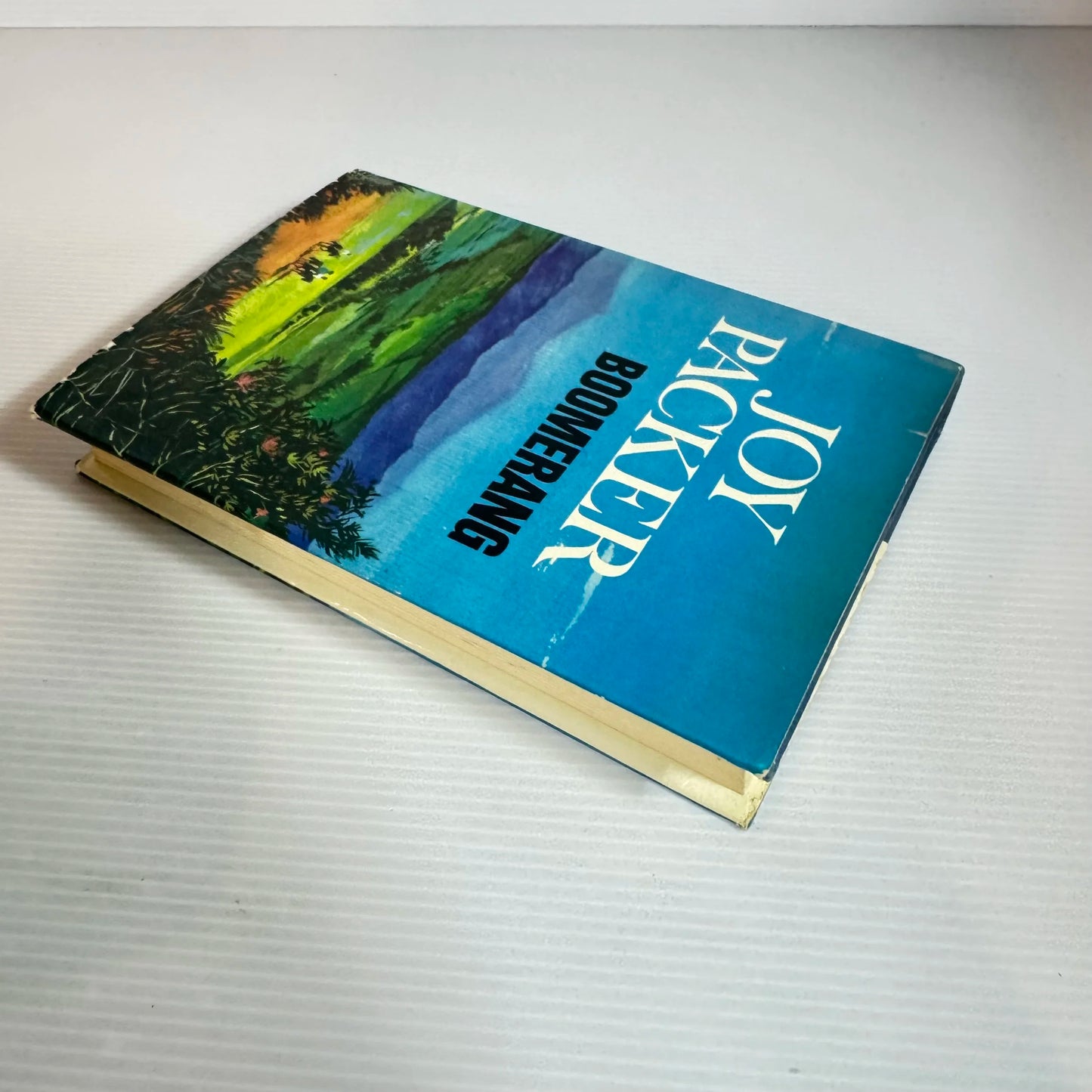 Boomerang - Joy Packer (Vintage 1972 First Edition)