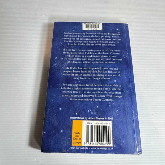 The Secret Country - Jane Johnson