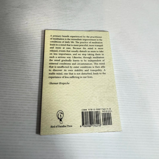 Boundless Awakening : The Heart of Buddhist Mediation - Shamar Rinpoche