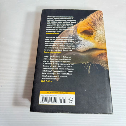 Heavy Light: A Journey Through Madness, Mania & Healing - Horatio Clare