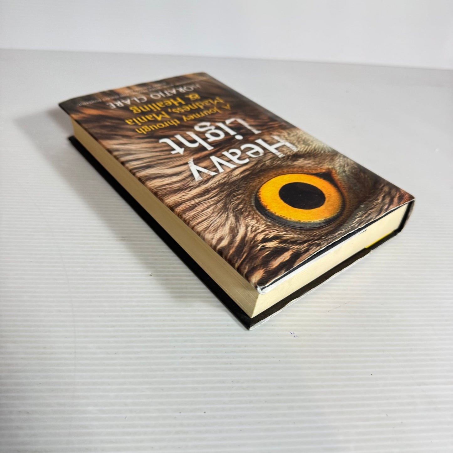 Heavy Light: A Journey Through Madness, Mania & Healing - Horatio Clare