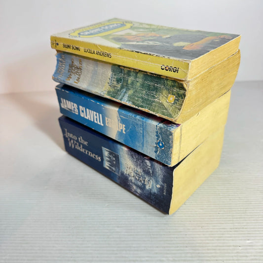 Historical Romance Book Bundle x 4 Books : Mixed Authors (720)