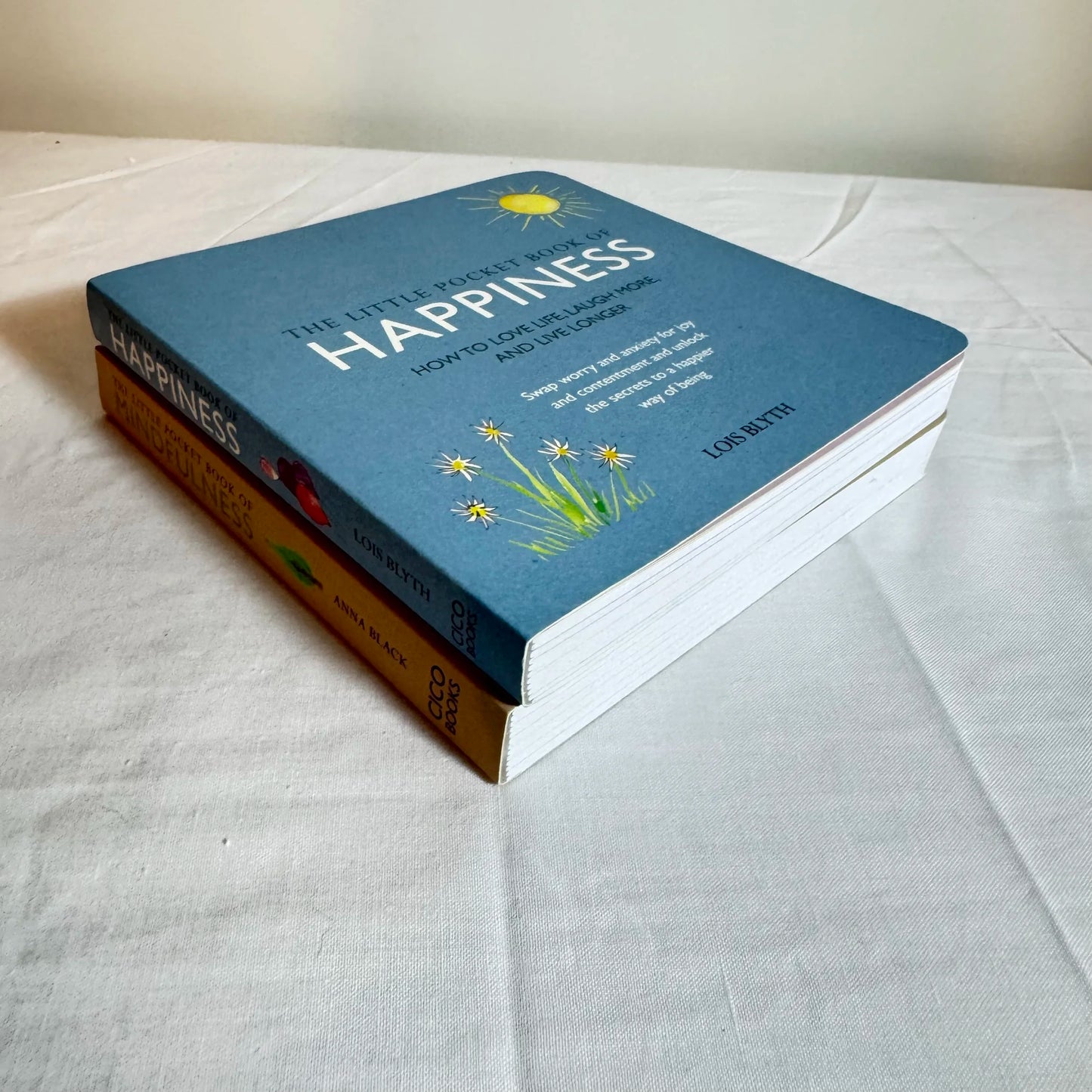 Mindfulness & Happiness Book Bundle x 2