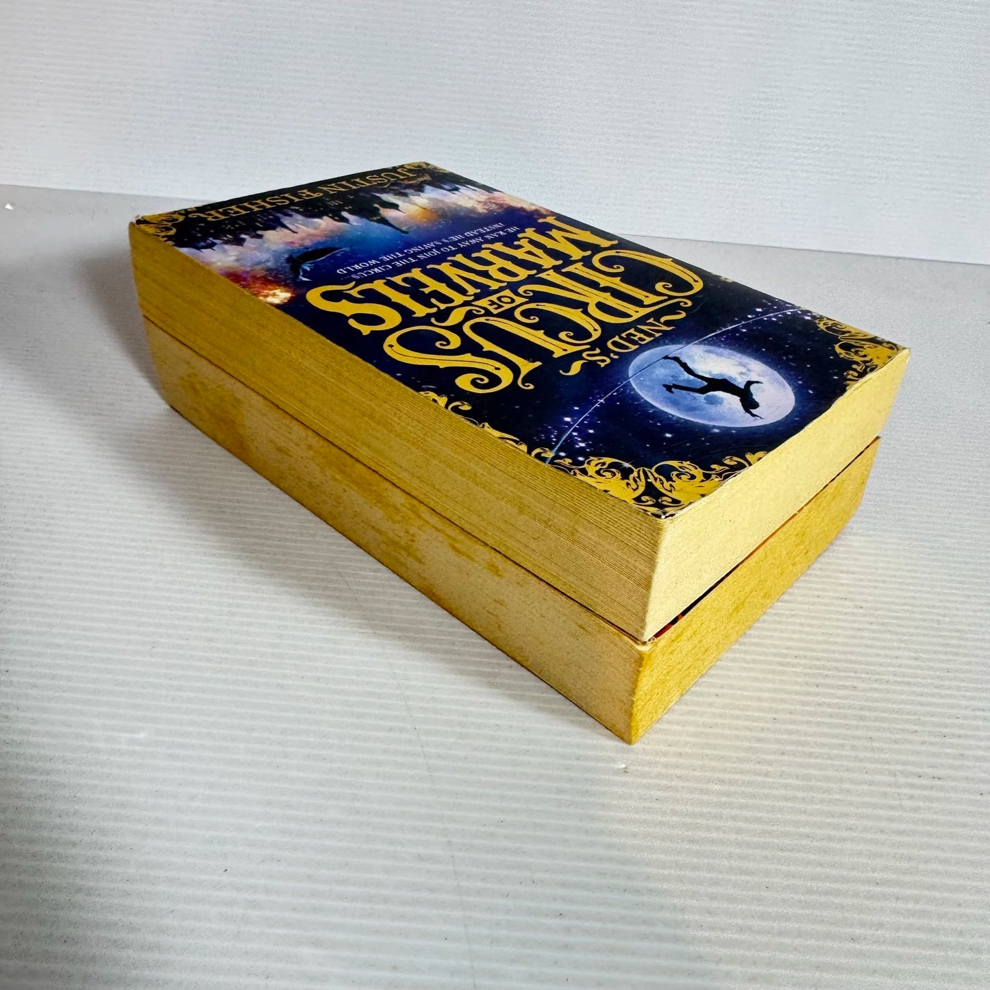 Justin Fisher Book Bundle x 2 - Ned's Circus of Marvels & Ned's Circus of Marvels Gold Thief