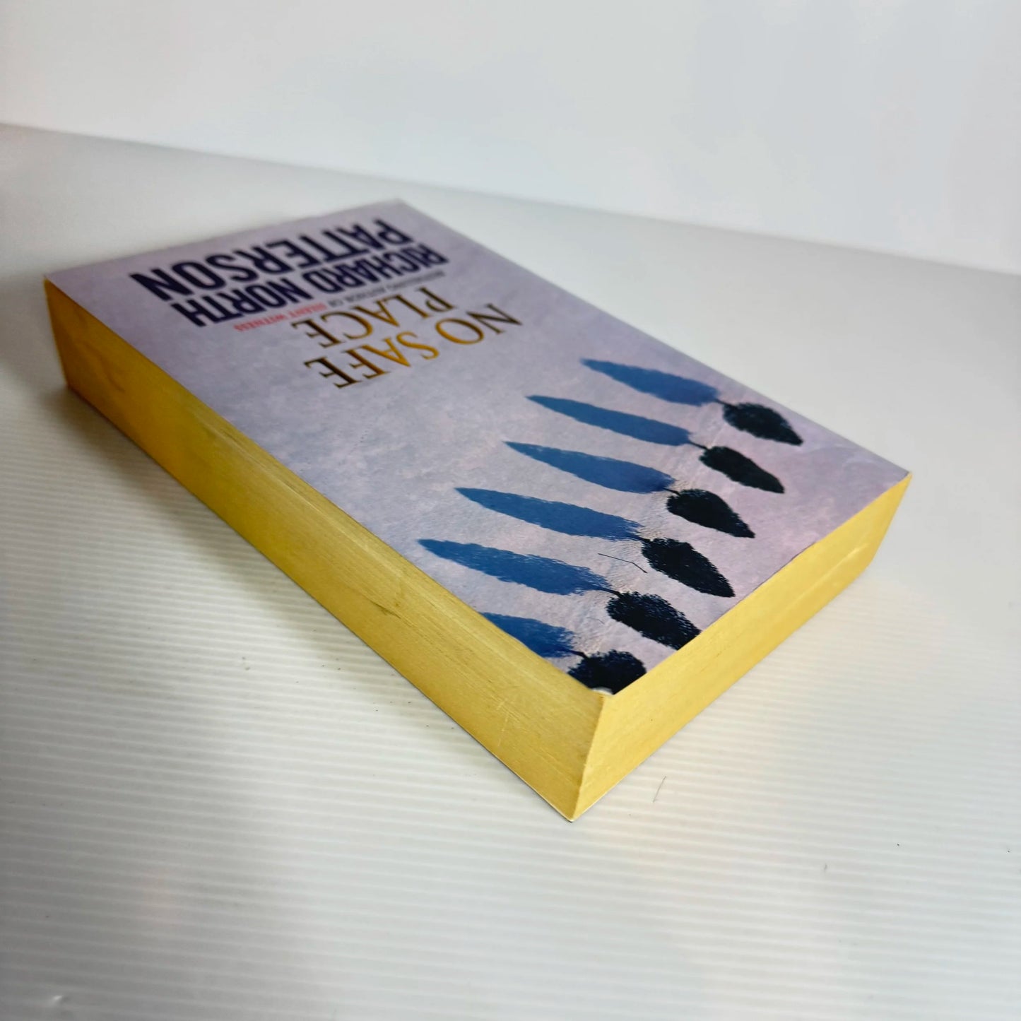 No Safe Place - Richard North Patterson