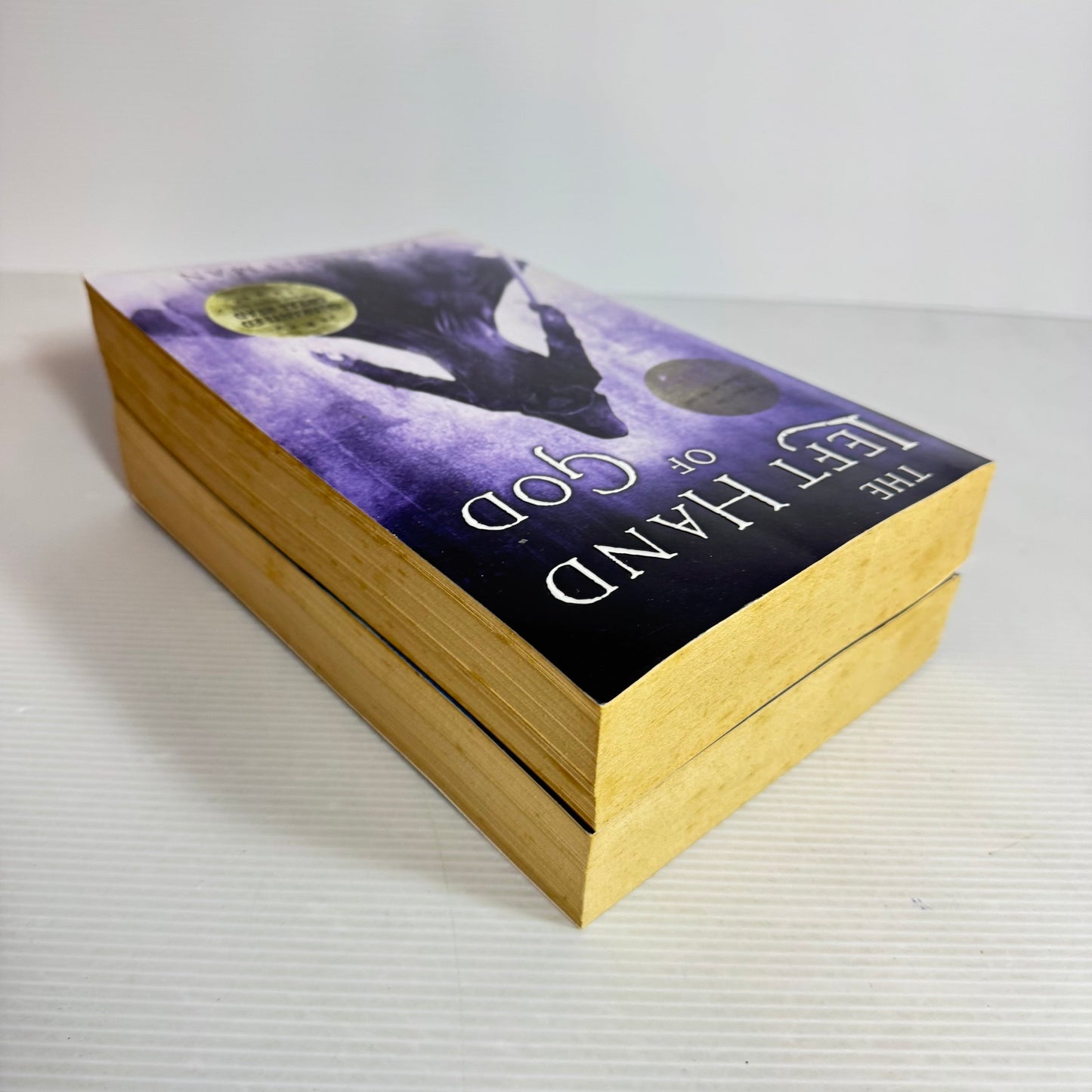 Paul Hoffman Book Bundle x 2 The Left Hand of God & The Last Four Things
