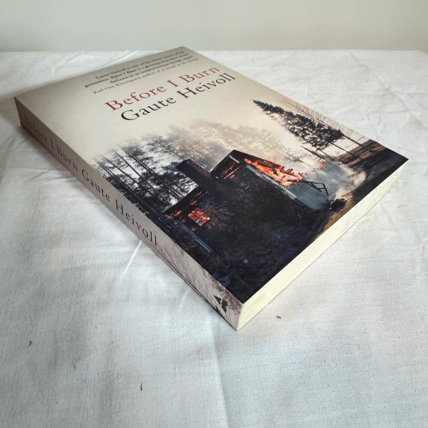 Before I Burn - Gaute Heivoll