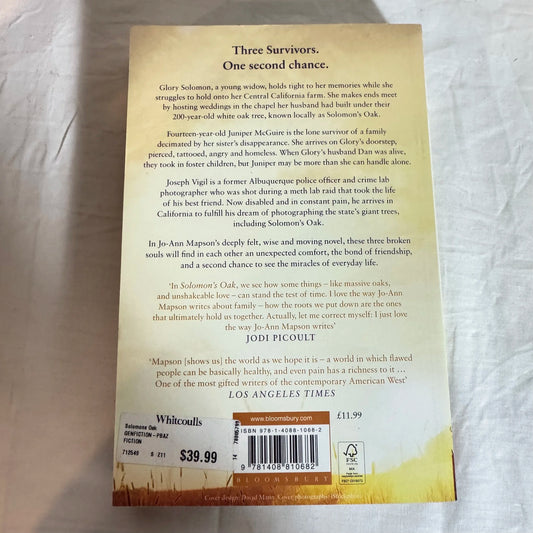 Solomon's Oak - Jo-Ann Mapson