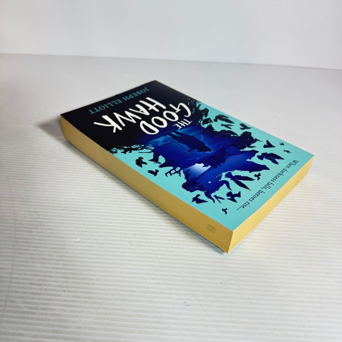 The Good Hawk - Joseph Elliott