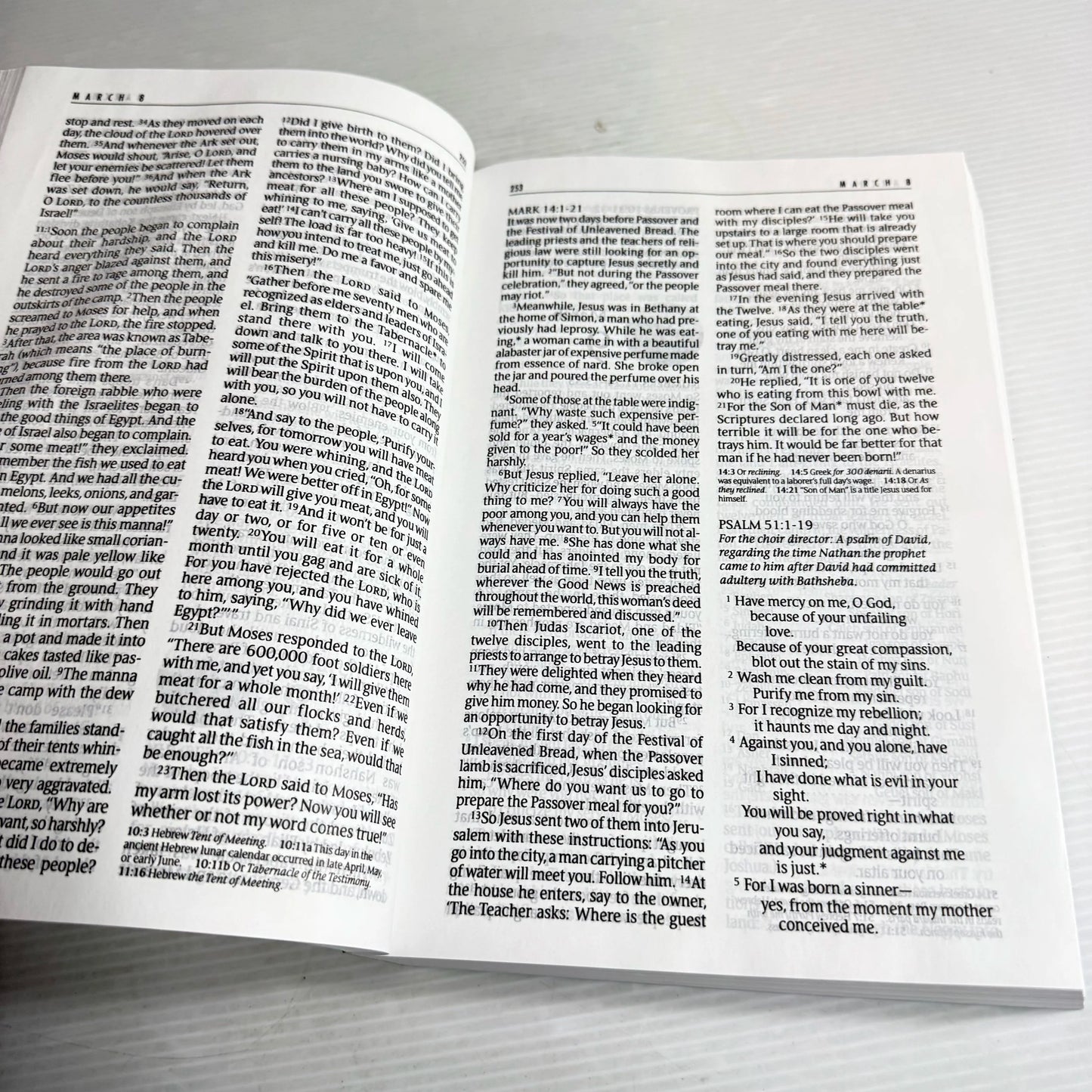 The One Year Bible (Large Print) New Living Translation