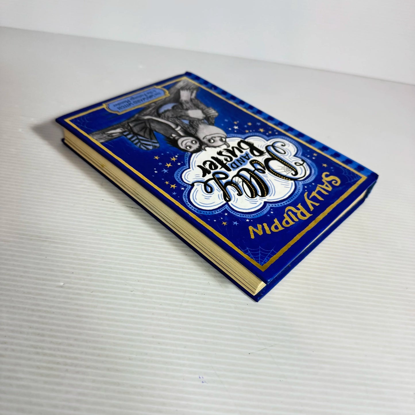 Polly And Buster Book 1 : The Wayward Witch & The Feelings Monster - Sally Rippin