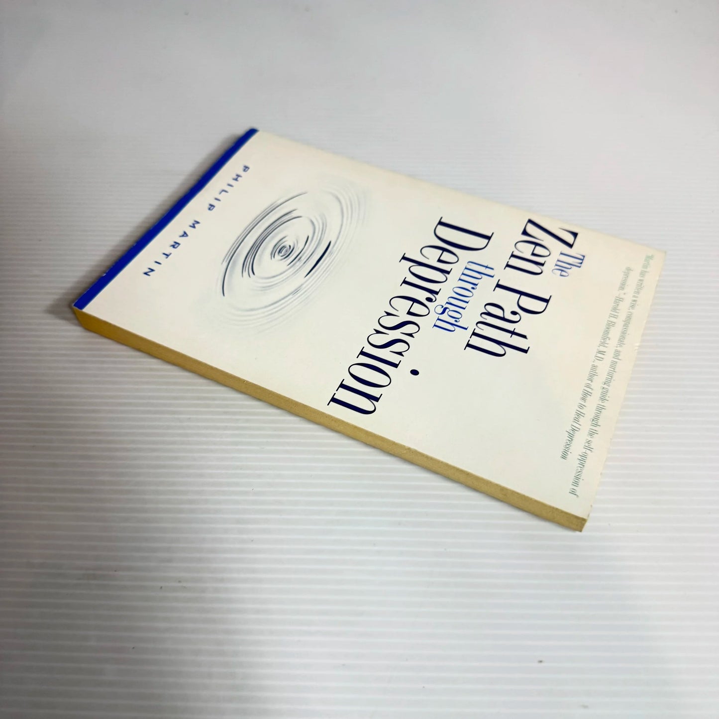 The Zen Path Through Depression - Philip Martin