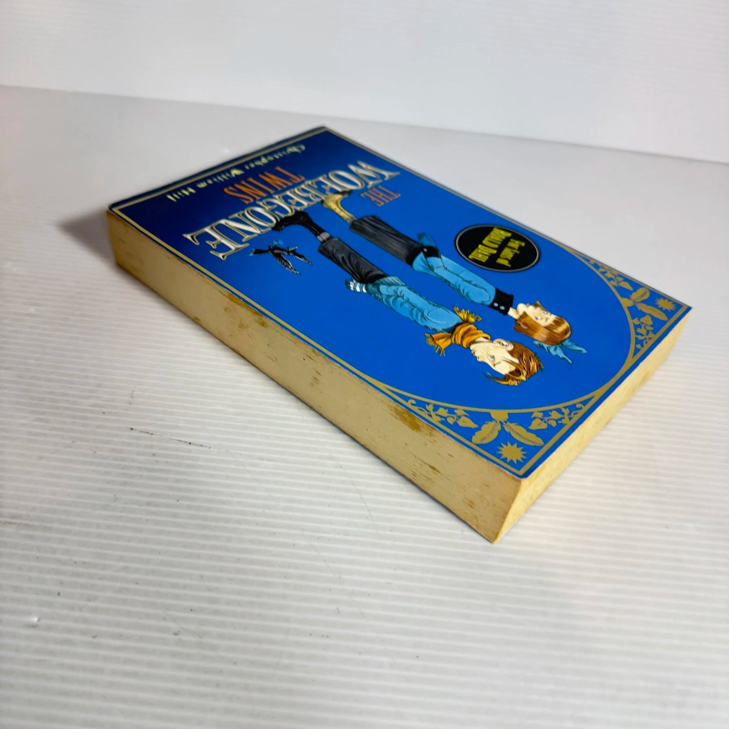 The Woebegone Twins - Christopher William Hill