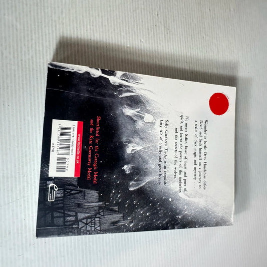 Tinder - Sally Gardner : Graphic Novel