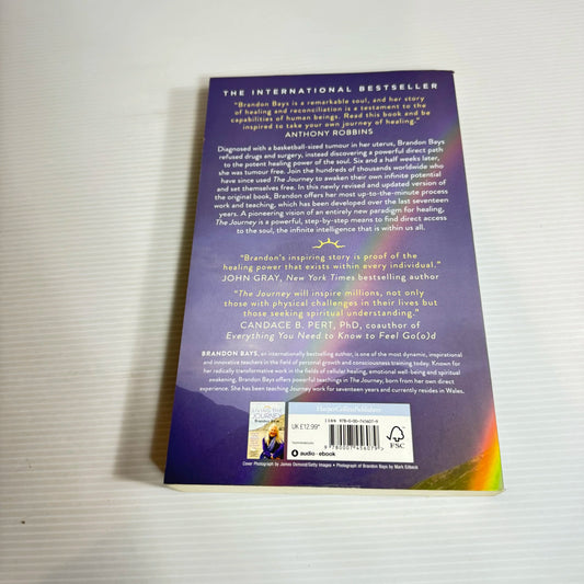 The Journey - Brandon Bays