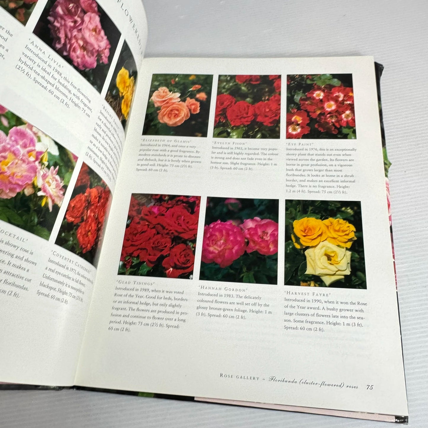 The Ultimate Rose Book - Peter McHoy (1997)