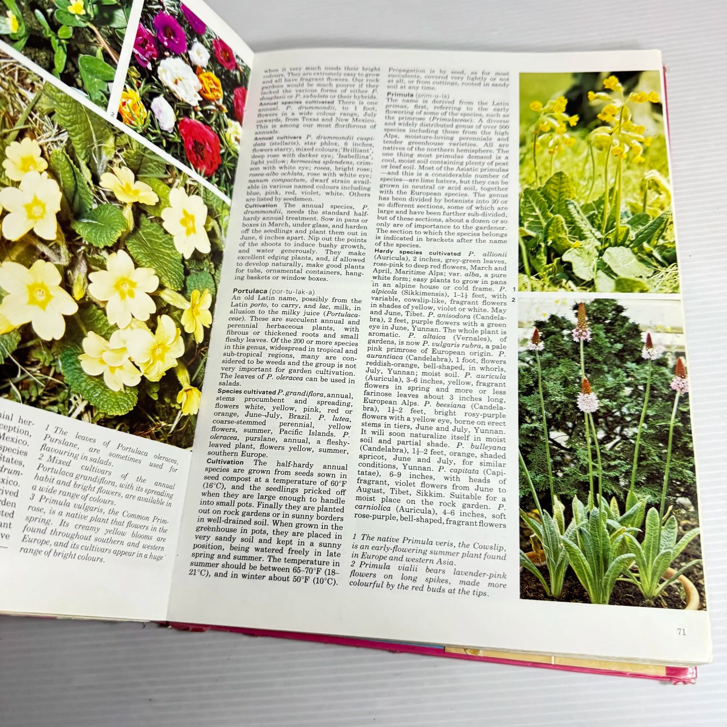 Complete Guide To Flower Gardening (1986)