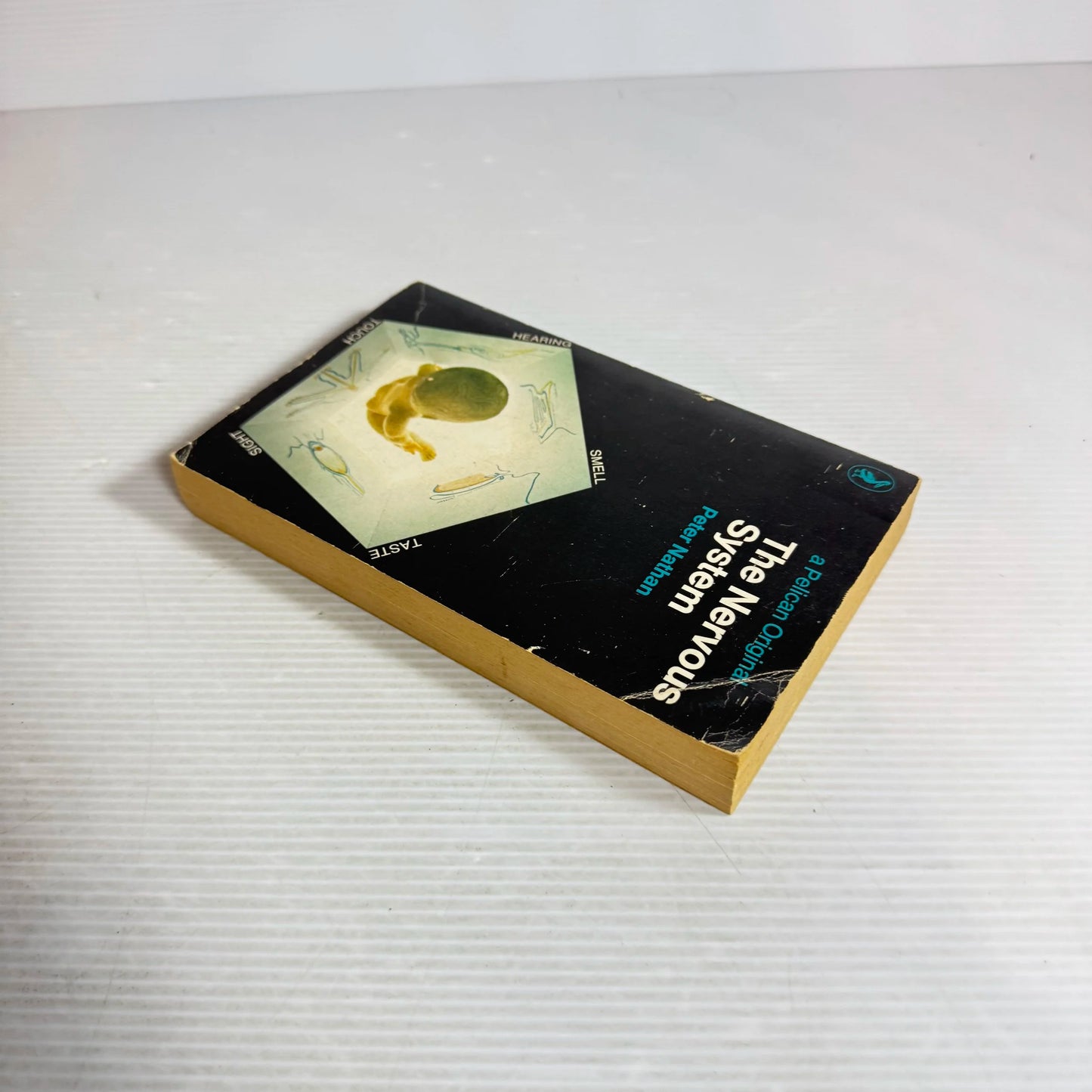 The Nervous System - Peter Nathan (Vintage 1969)