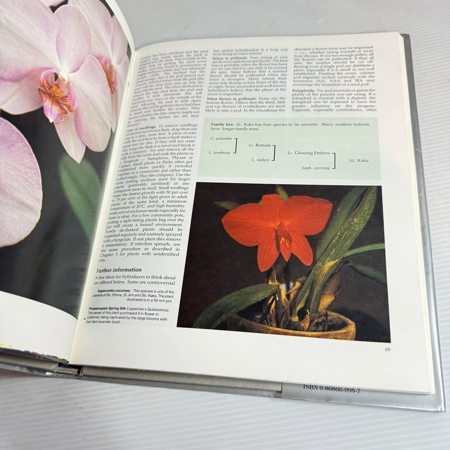 The New Zealand Orchid Grower - I. D. James