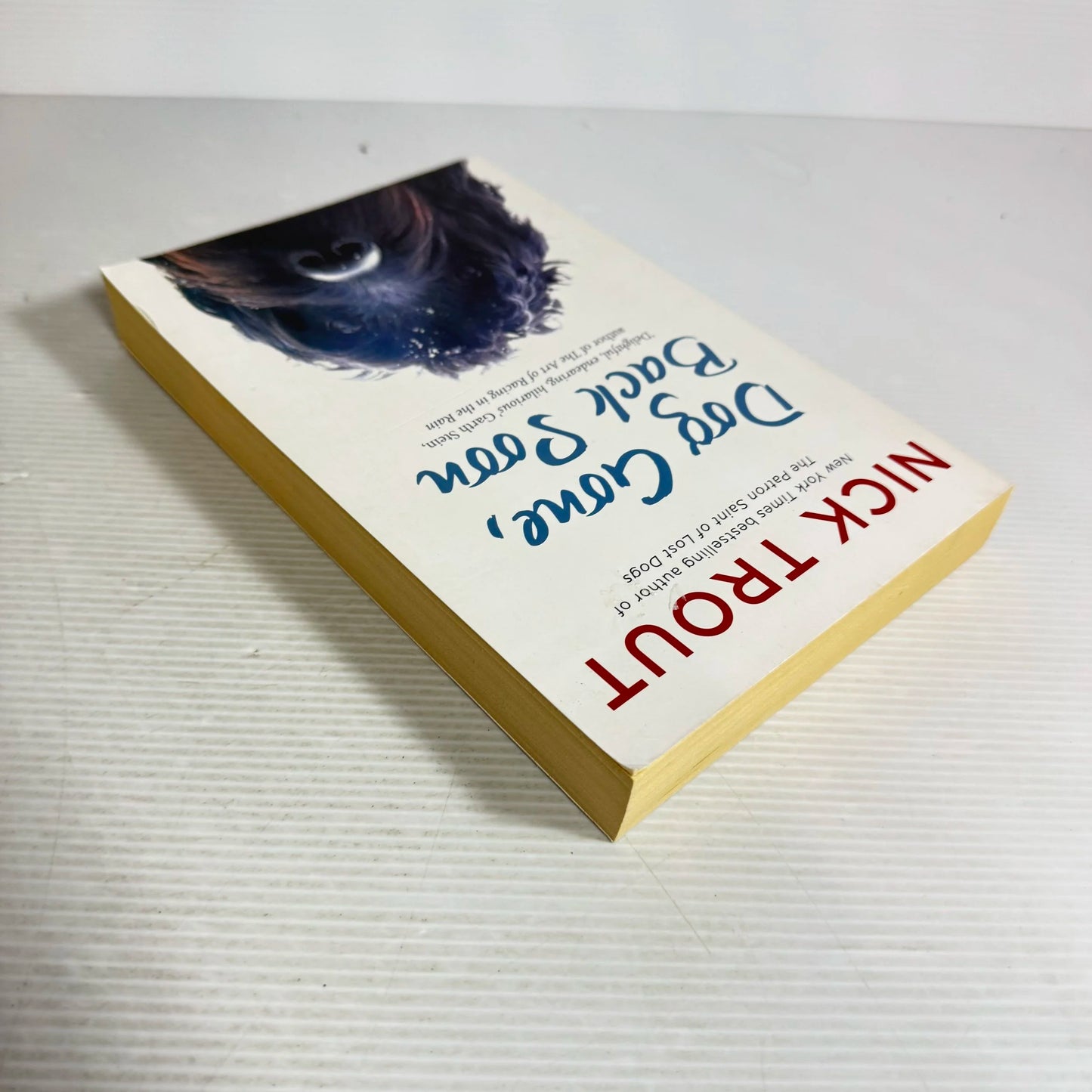 Dog Gone, Back Still - Nick Trout