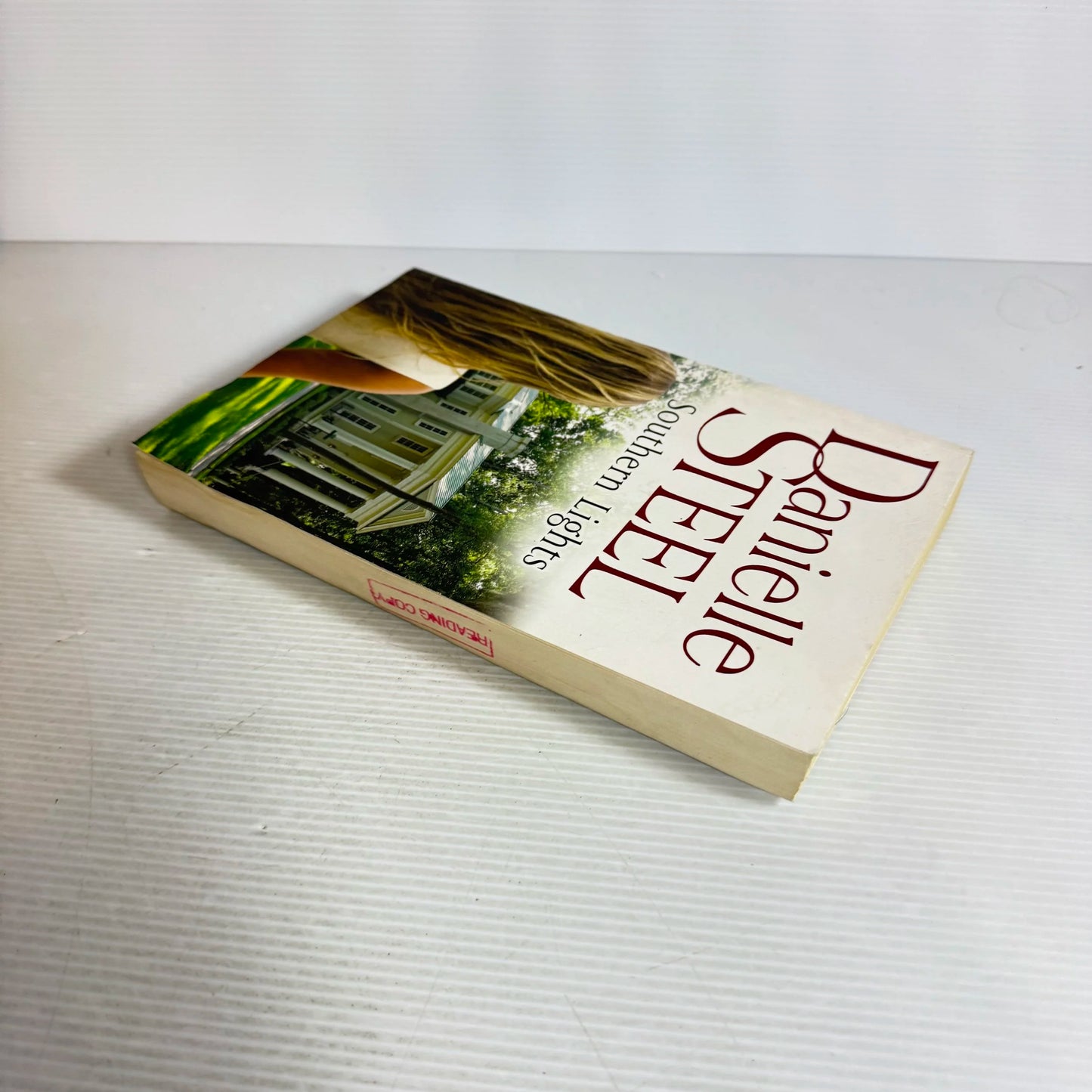 Southern Lights - Danielle Steel