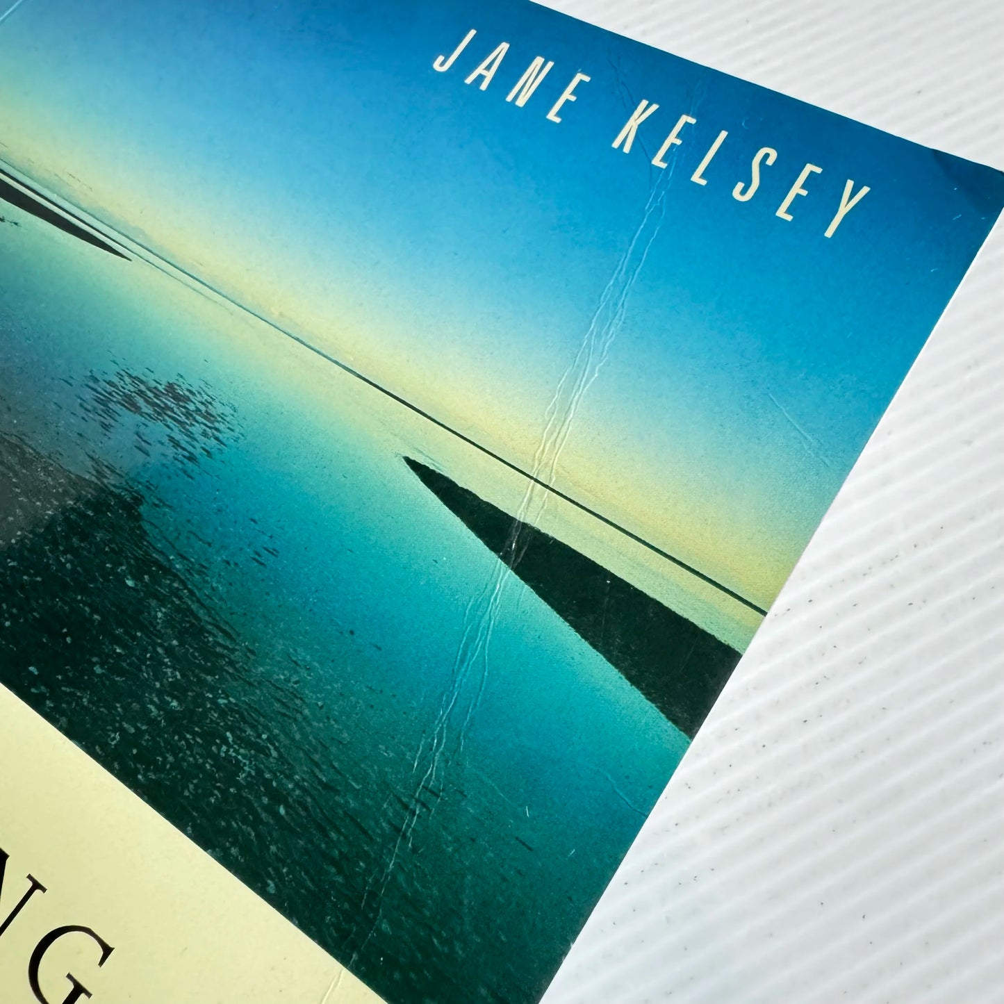 Reclaiming The Future : New Zealand and the Global Economy - Jane Kelsey