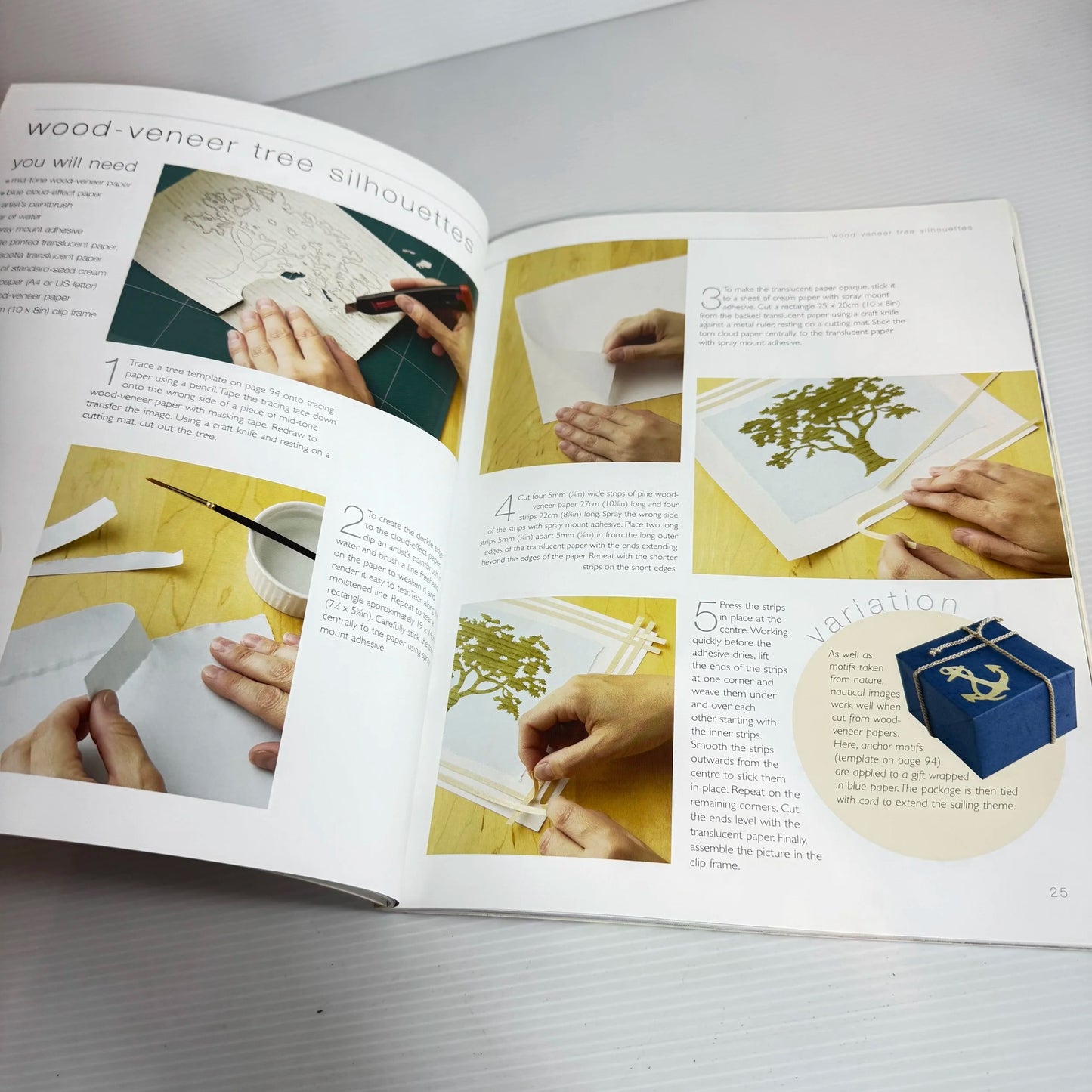 Paper Inspirations : Over 25 Illustrated Papercrafting Projects - Cheryl Owen