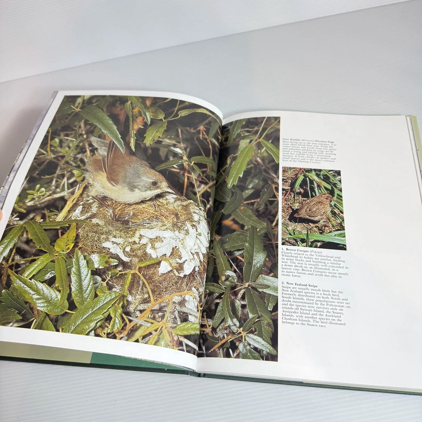 New Zealand Birds - Kowhai (Vintage 1991)