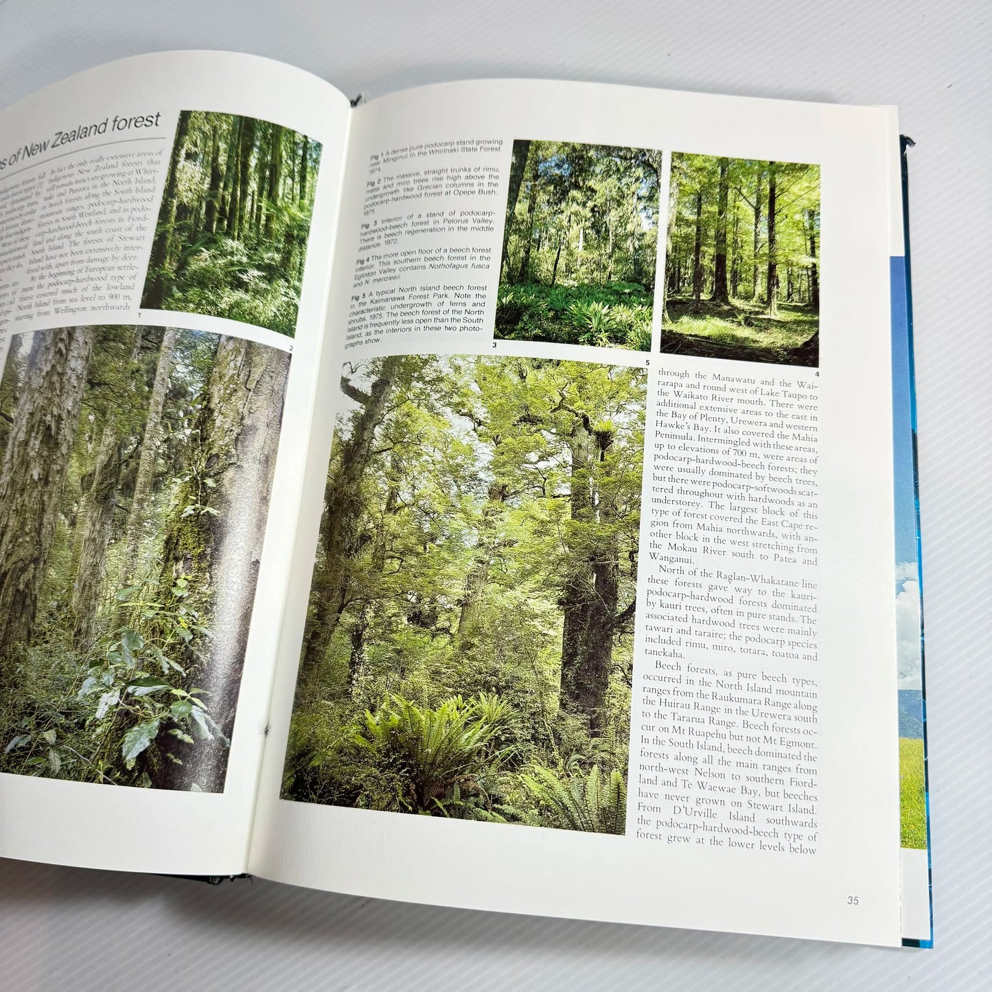 The Native Trees of New Zealand - J. T. Salmon
