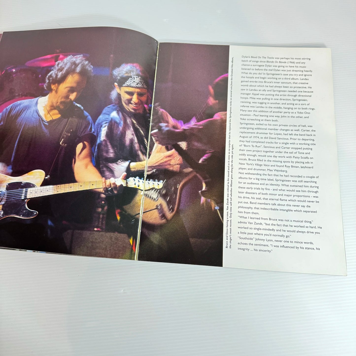 Bruce Springsteen - Steven Rosen