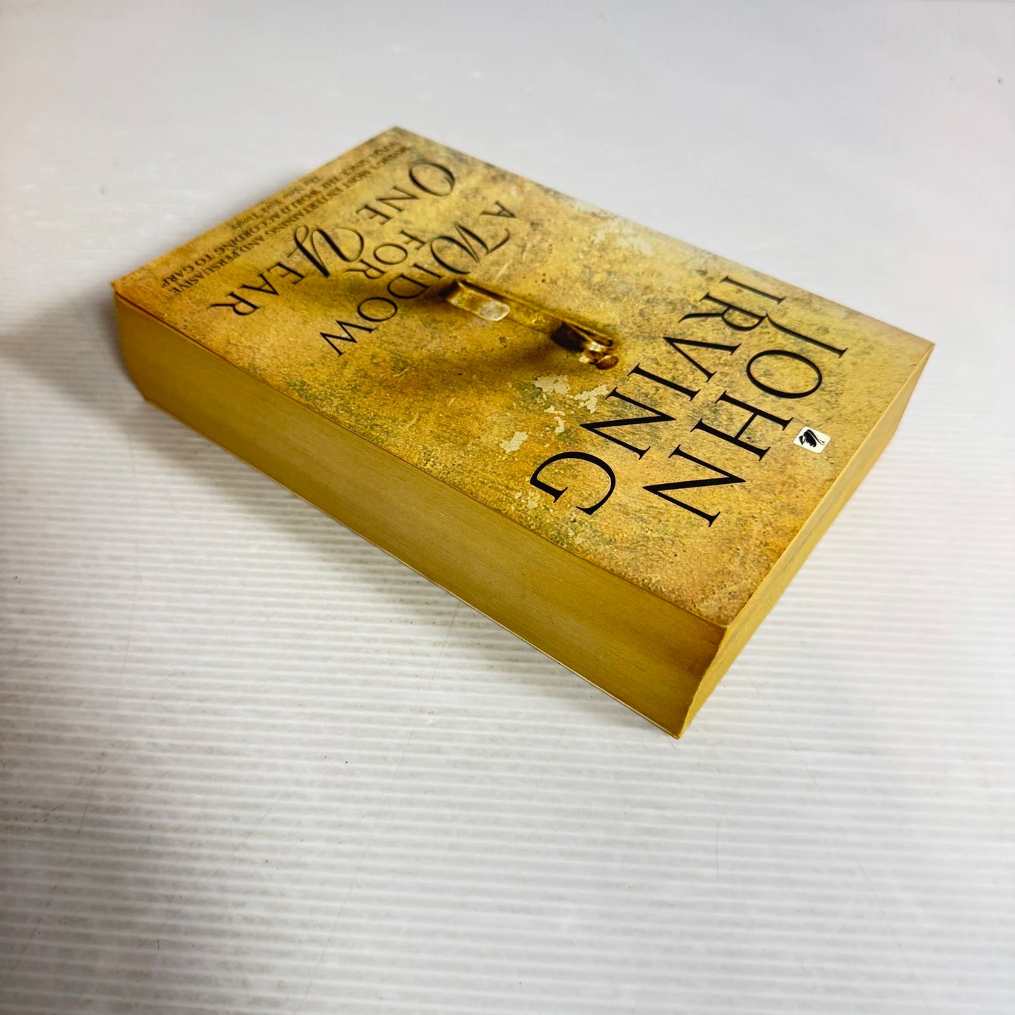 A Window For One Year - John Irving