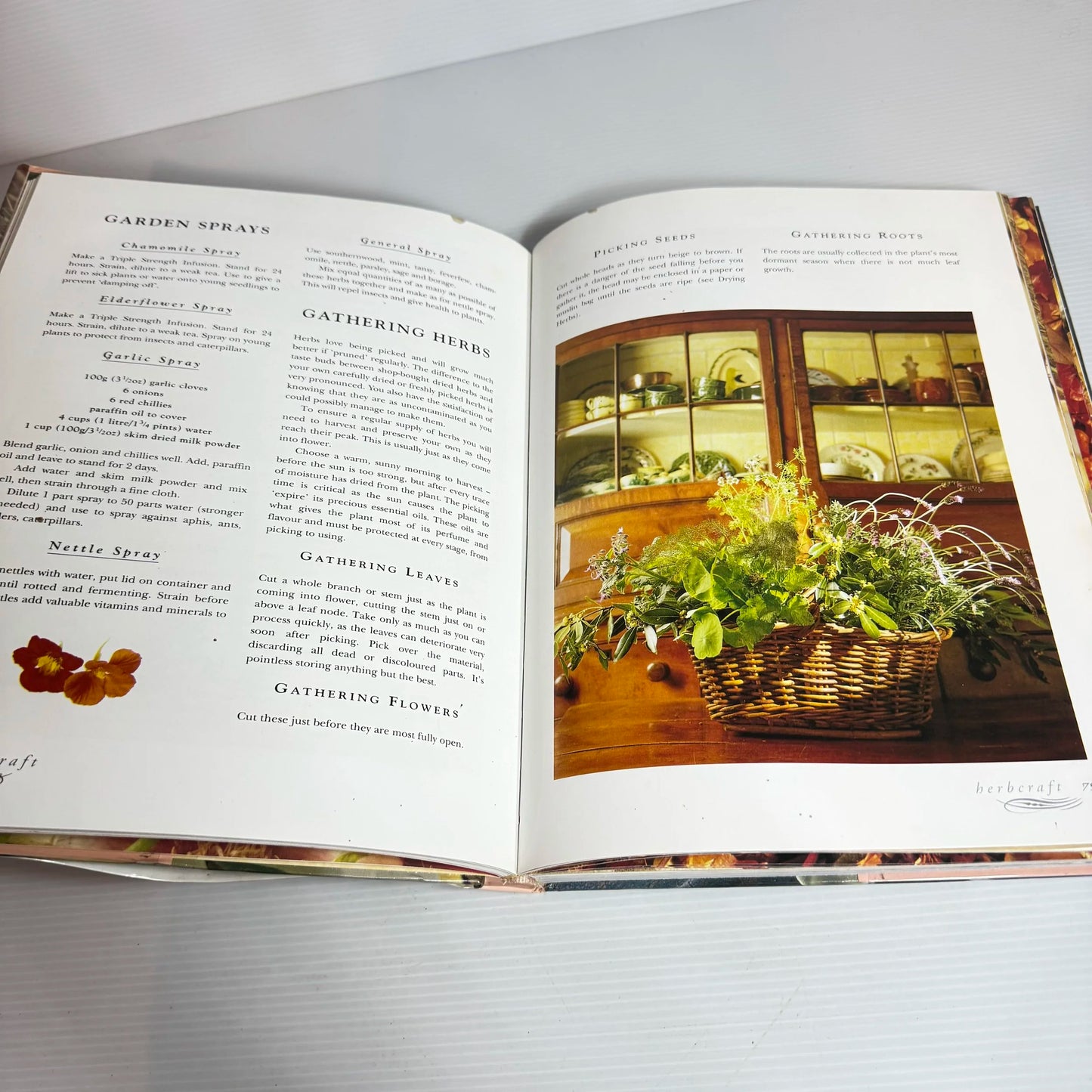 Herbcraft : A Complete Guide to the Cultivation and Use of Herbs - Nerys Purchon (Vintage 1995)