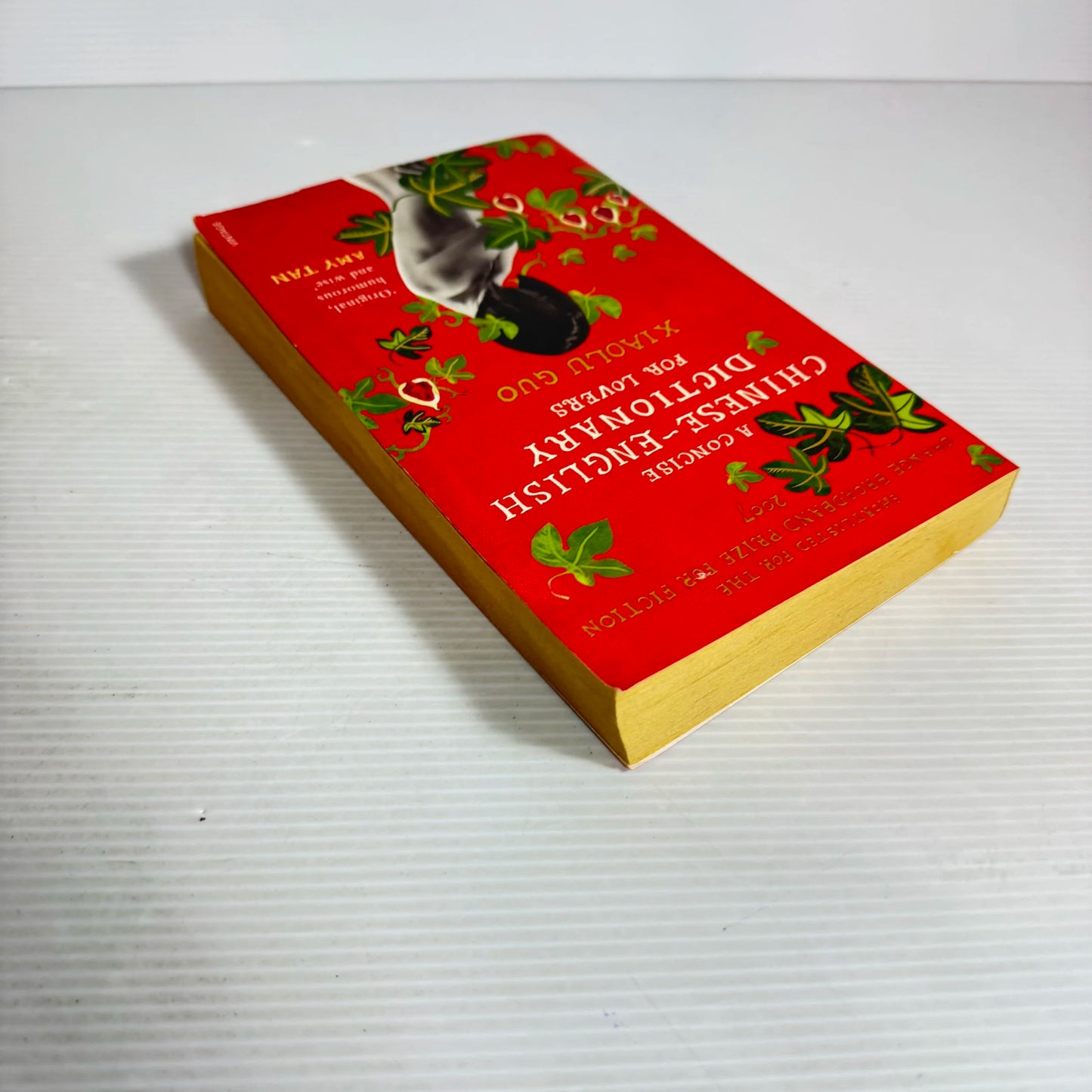 A Concise Chinese-English Dictionary For lovers - Xiaolu Gui