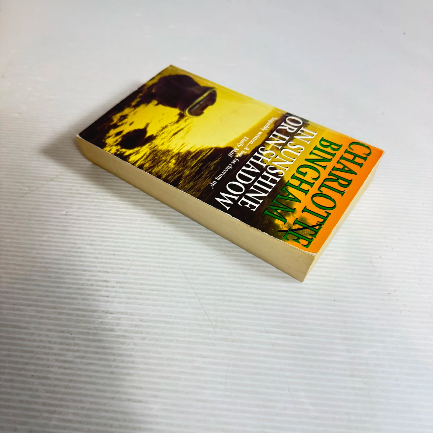 In Sunshine or in Shadow - Charlotte Bingham