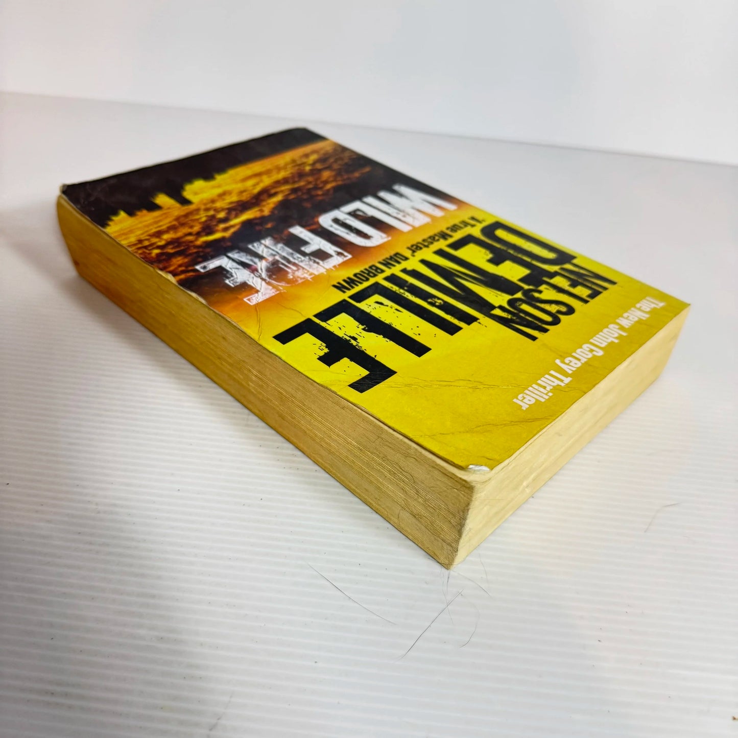 Wild Fire - Nelson Demille