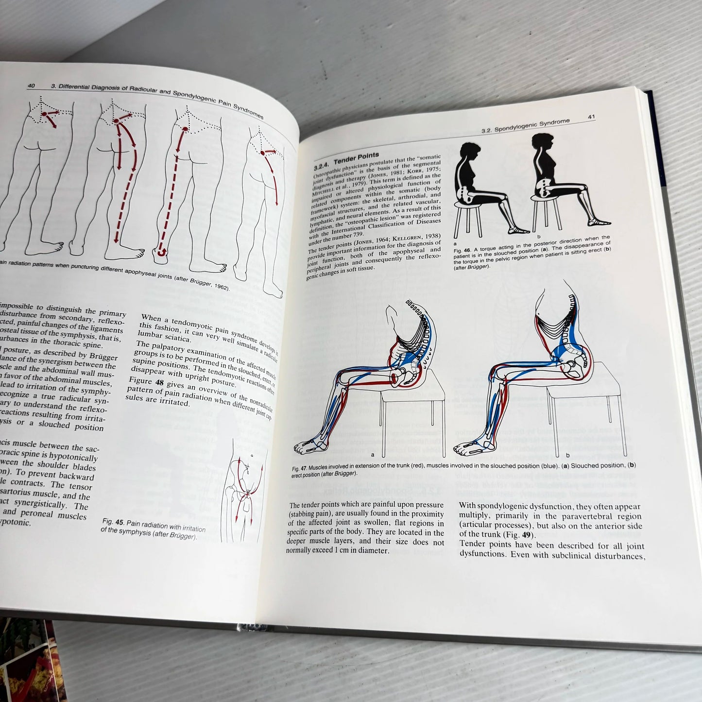 Manual Medicine : Diagnostics - Jiri Dvorak & Vaclav Dvorak