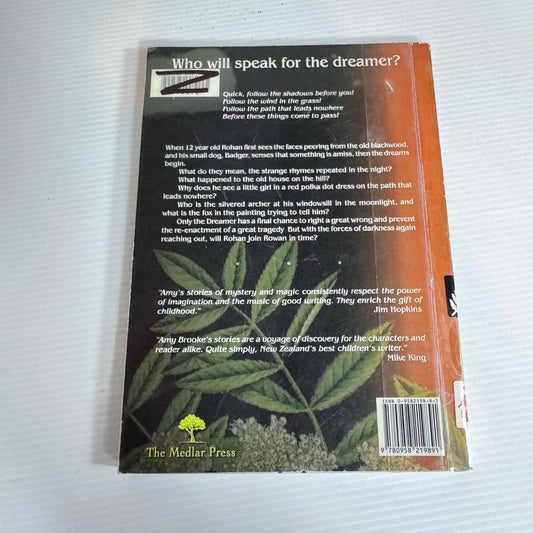 Who Will Speak For The Dreamer? - Amy Brooke