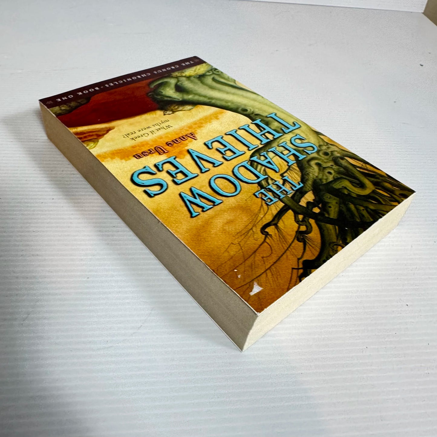 The Shadow Thieves - Anne Urse