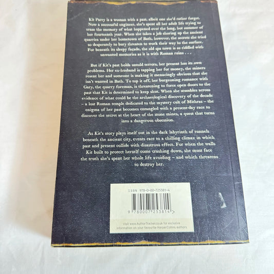 Crow Stone - Jenni Mills