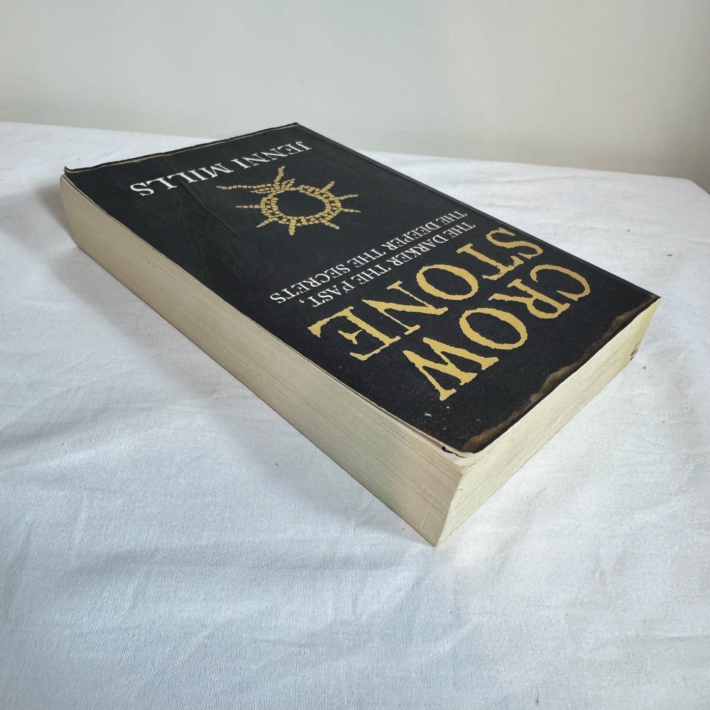 Crow Stone - Jenni Mills
