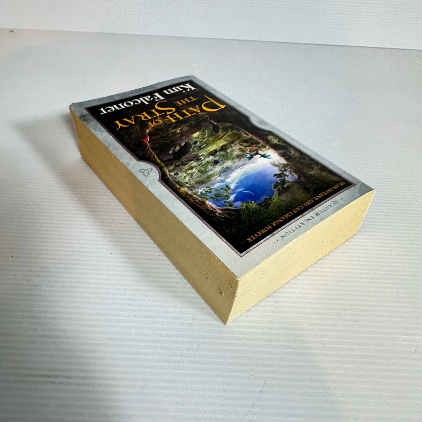 Path of the Stray - Kim Falconer