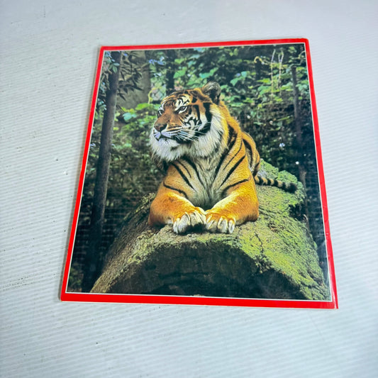 The Royal Melbourne Zoological Gardens (Vintage 1983)