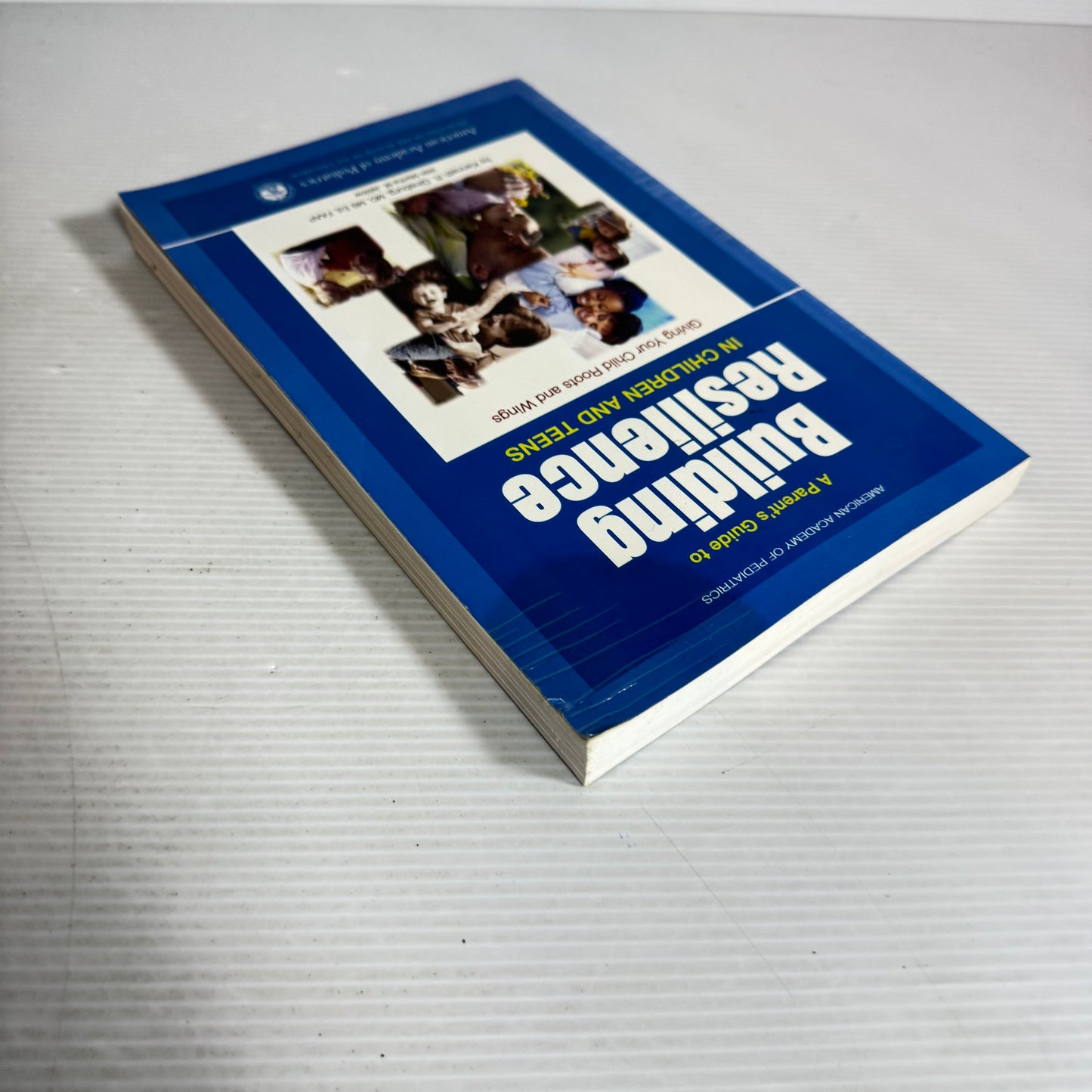 A Parent's Guide To Building Resilience In Children And Teens - Kenneth R. Ginsburg