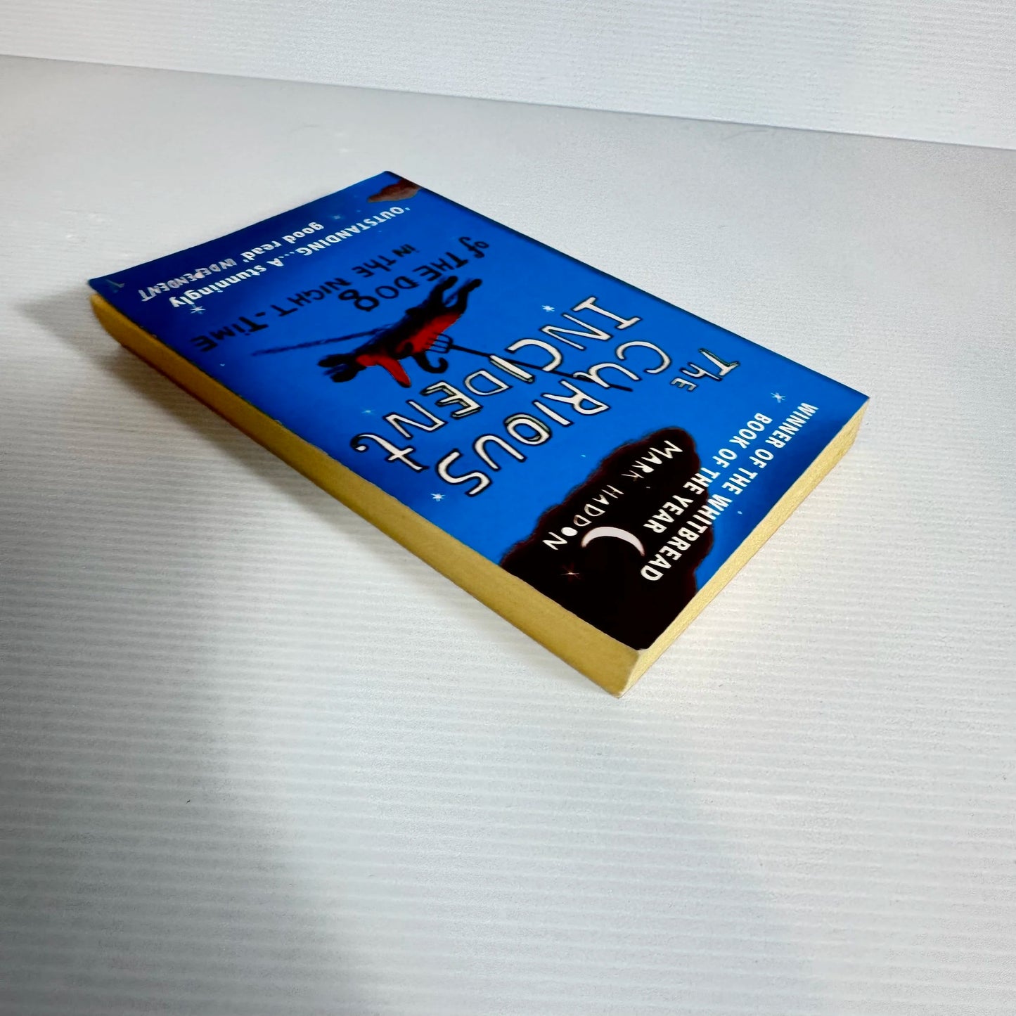 The Curious Incident of the Dog in the Night-Time - Mark Haddon