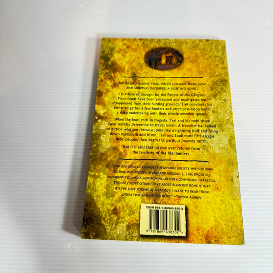 Chronicles of Stone : Scorched Bone - Vincent Ford