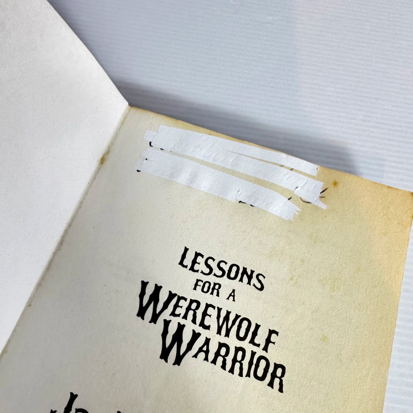 Lessons for A Werewolf Warrior - Jackie French